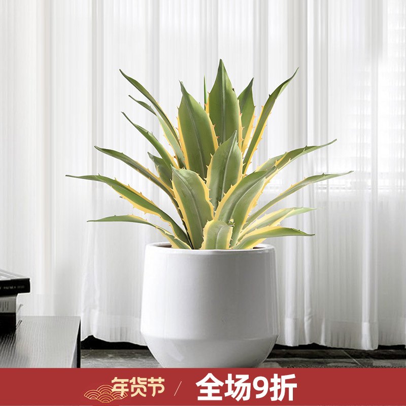 新品手感材料 高仿真金边龙舌兰沙生植物造景仿真绿植盆栽植物|ru