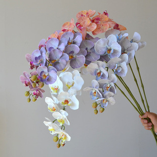 �߶˷��滨Ī�m��ɫϵ9�^�����m�����Ҿ��bٻ���c�Ƶ껨ˇ