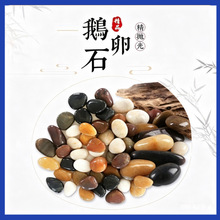 五彩石雨花石天然鹅卵石庭院铺地鱼缸花盆水培装饰石黑白黄红原石