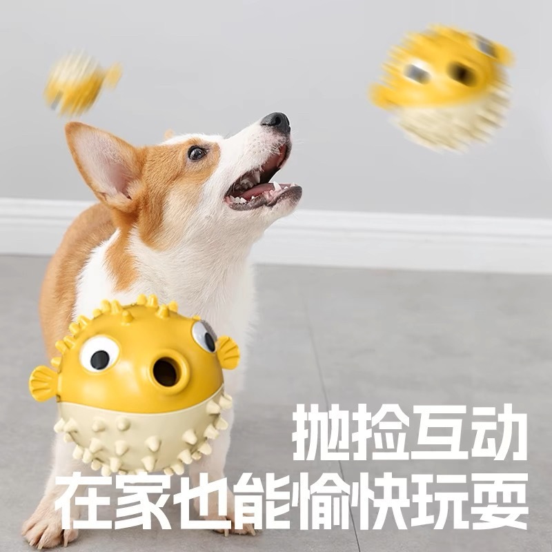 犬の音のおもちゃのトランポリン魚の退屈を解消します。|undefined