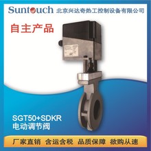 �d�_��S��ֱ�l �՚�늄��{�����y ��ȼ�L�����ySGT31+SDKG/L