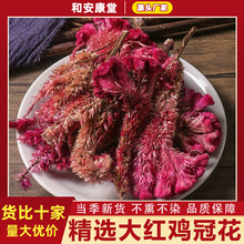 鸡冠花中药材正宗红鸡冠花干花鸡冠花药用凤尾大红鸡冠花泡茶水