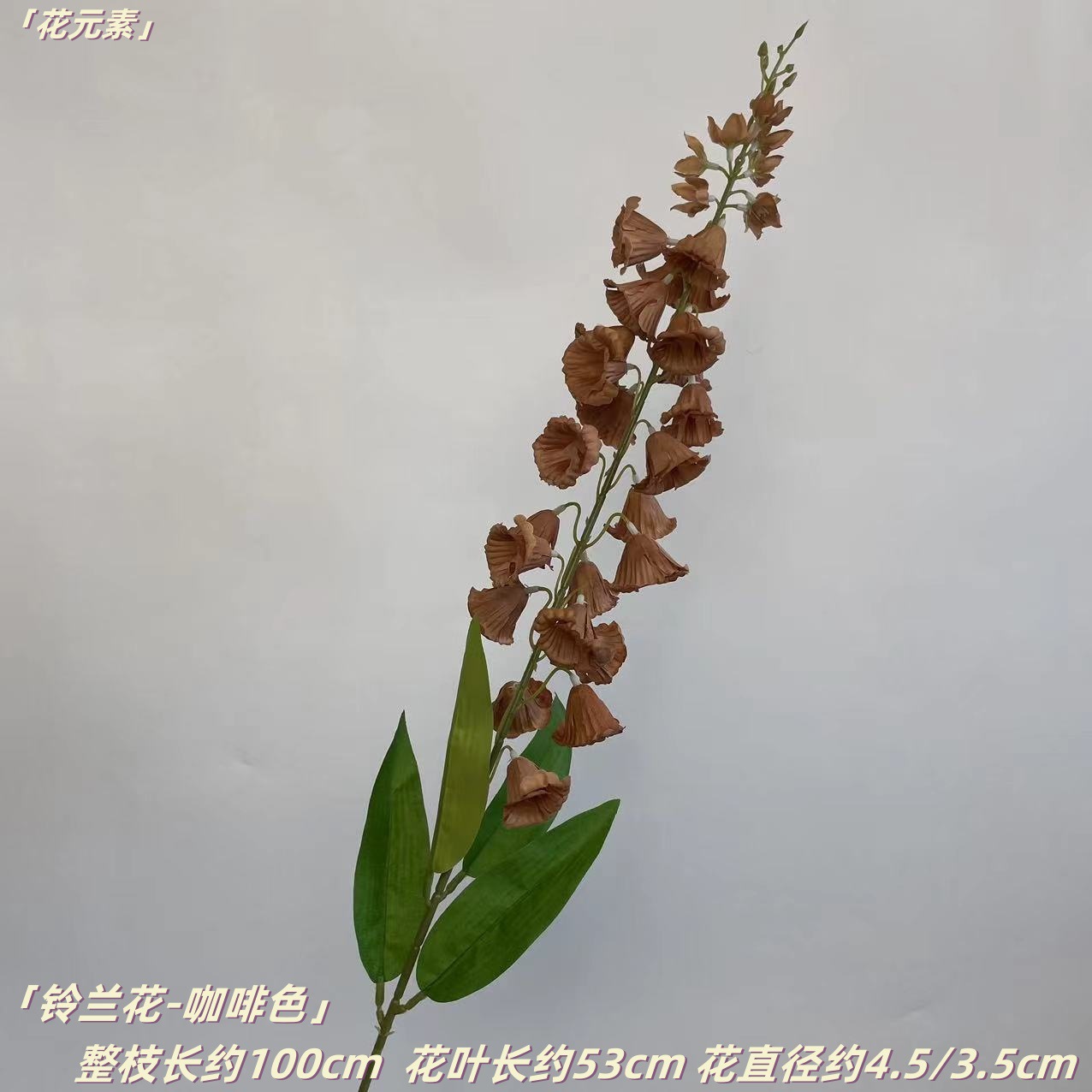 다크 브라운