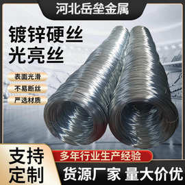 镀锌铁丝防锈冷镀大棚葡萄架手工DIY艺术工地家用建筑铁丝钢丝