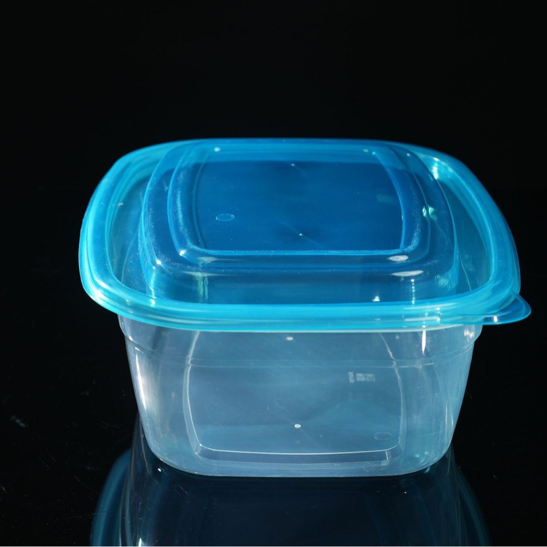 10L de gran capacidad de plástico de grado alimenticio grueso anticongelante caja de almacenamiento resistente al calor caja de comidas rápidas a prueba de fugas con cubierta multicolor
