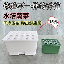 水培种植专用箱家庭种植多样化阳光水培器皿室内无公害水培种植