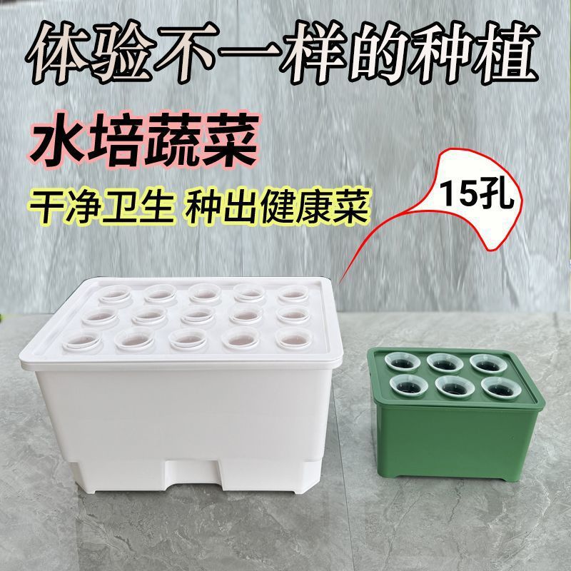 水培种植专用箱家庭种植多样化阳光水培器皿室内无公害水培种植