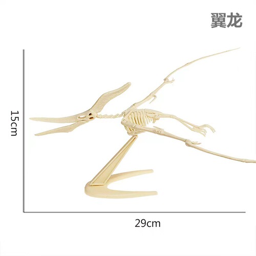 (10 Pieces) Dinosaur Fossil Skeleton Model Children's Handmade DIY for Boys and Girls Tyrannosaurus Rex Assembly Skeleton