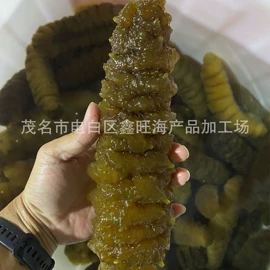 其他水产加工;海参;鱼胶/花胶