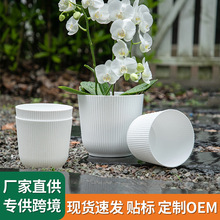 ˮ໨FƤʯm͸͸϶ֲ@WG}ˮ辰