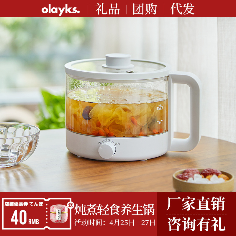olayks出口原款养生锅煲汤电锅电煮锅多功能锅燕窝炖盅养生壶炖锅|ru