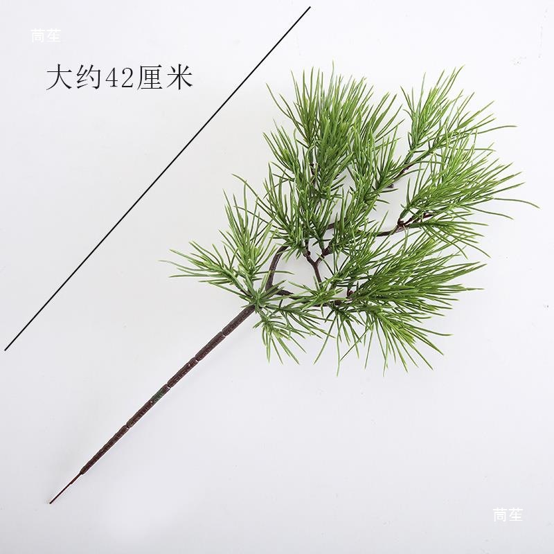 假黑松马尾松枞松五针松罗汉松松树枝条松针崖柏绿叶道具松粗弯杆