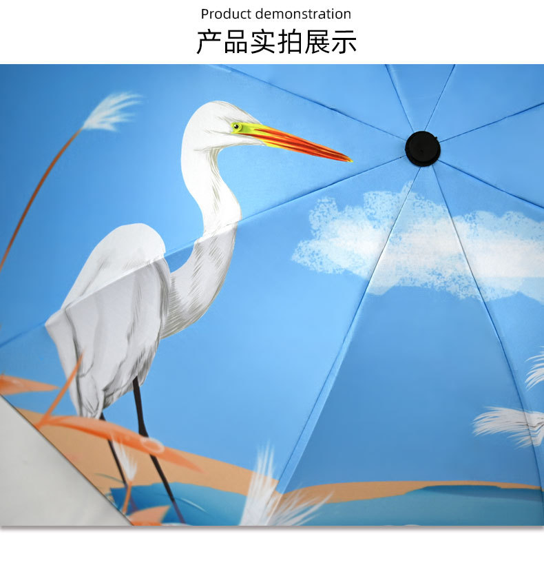 Free digital printing of umbrellas, black adhesive tape, digital printing of four-section umbrellas. Umbrellas can be customized according to provided drawings. Heat transfer pic 9