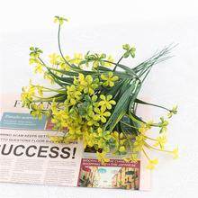 �¿����ֲ�����С�Gֲ�bٻ�õ�廨С�r��ˮ���m��diy���