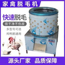 ����Óë�C���Ú��u���Z��ë�C����ȫ�Ԅ���ë�C���P�ȥë�C����