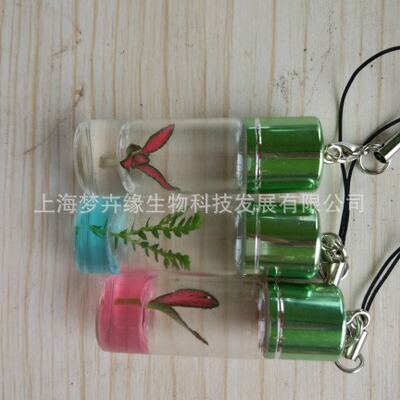 手机饰品挂件（植物宝宝）天使花房|ms