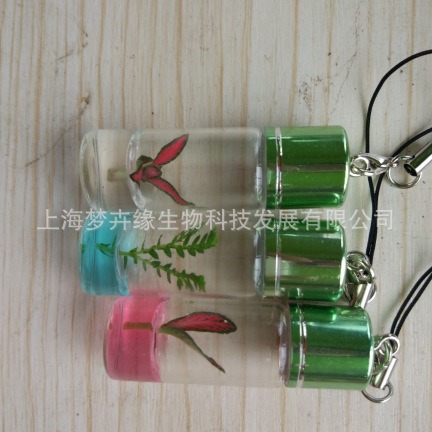 手机饰品挂件（植物宝宝）天使花房|ms