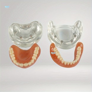 2Pcs Silicone Re Lined Denture Suit Creating a Perfect Cross-Border