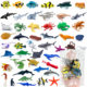 Simulation animal marine life model killer whale great white shark fish turtle dolphin leopard whale chapter squid children's toy cognition