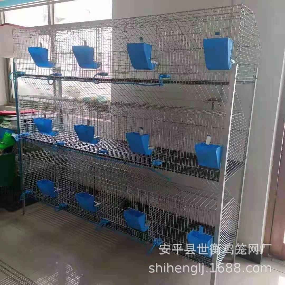 12位兔笼 50cm宽.jpg