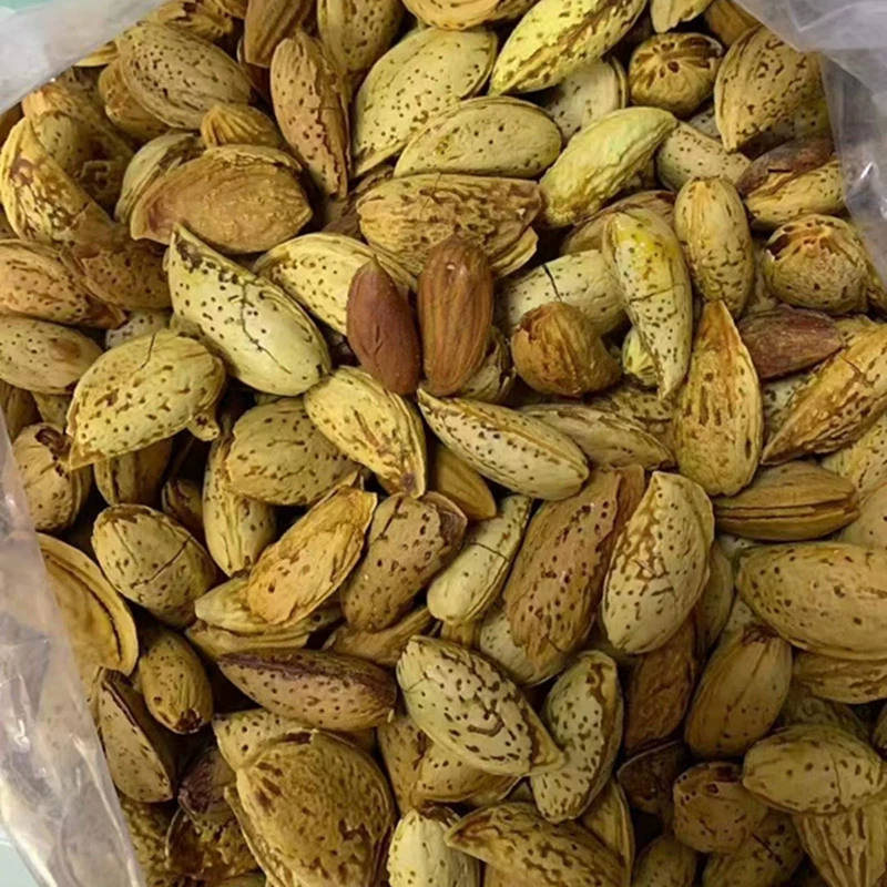 2022 год Орехи Badaru фисташки жареные производители оптовых продаж сухофруктов