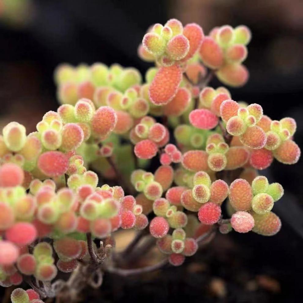 65a51094-1eb0-4714-867a-354d9d929bc7.jpe