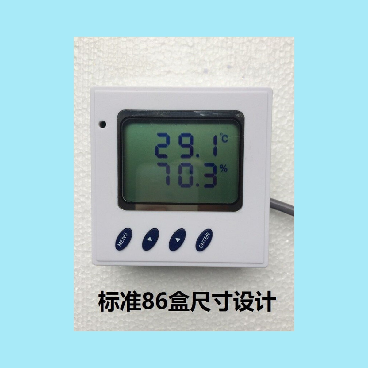 价可议-温湿度计 RS485型型号:WH117-YDL-TH01库号：M29492