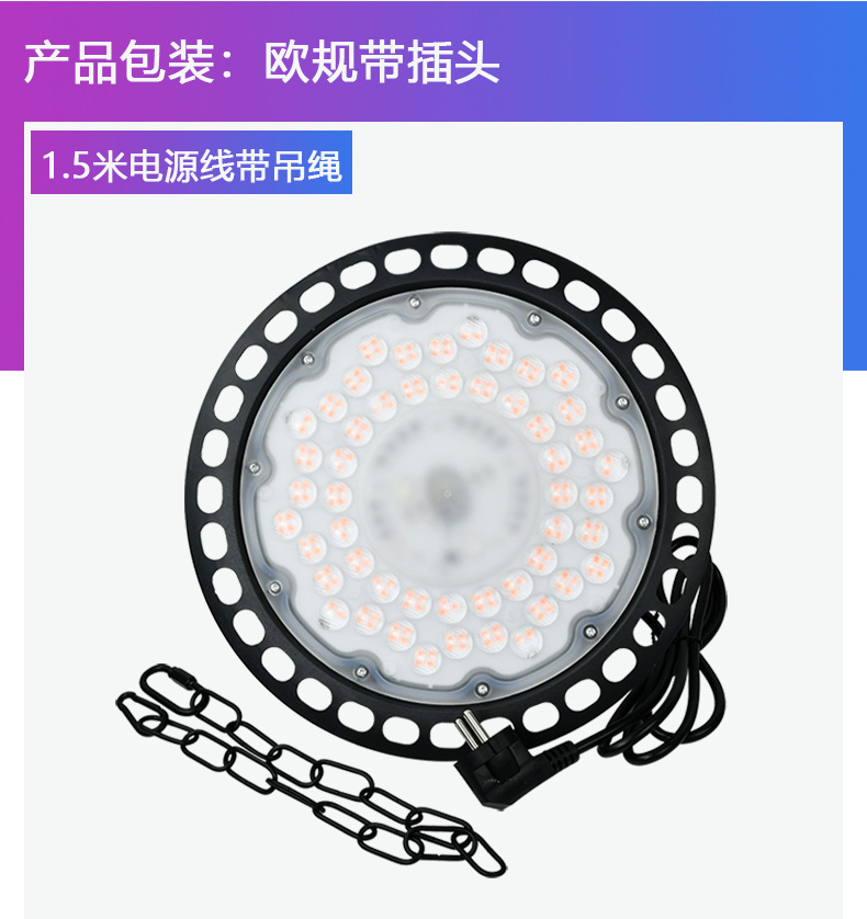 유럽 플러그 100W