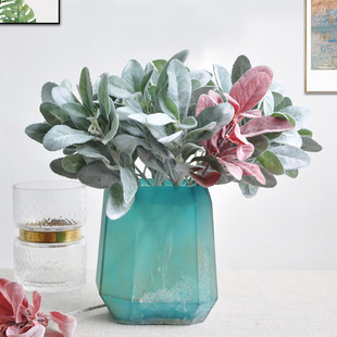 ֲ�q�ö��~����Gֲ�ٻ��Ҿӿ͏d���ò廨������l����ֲë�����~