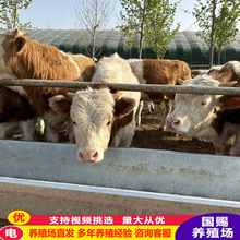 ţ sţ SţСSţBֳ Tţ