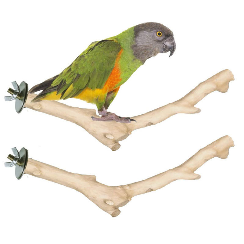 鳥棲木 鸚鵡磨牙棒鳥窩磨爪棒站槓磨砂站槓酸棗木棒 鸚鵡站杆