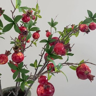 ʯ���6�^ʯ��t���͏d�ٻ����w�Ҿ��b�����ʯ��ĵ�����滨