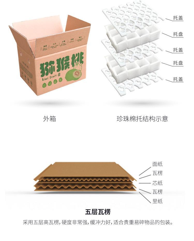 95565fbdef1db6ace451c9e3e88c01