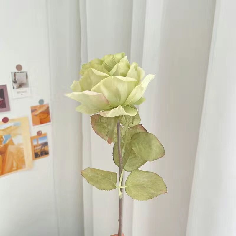 그린 번트 엣지 로즈 [코어 포함]