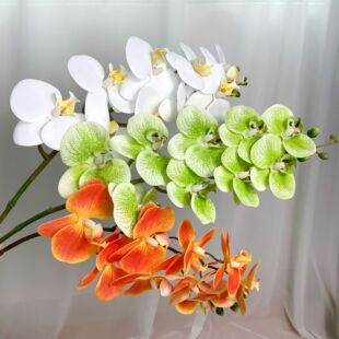 ����3D��ӡ9�^�zƬ�����m�Ƶ�͏d �������P�[����c�����bٻ�