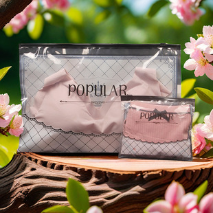 PE underwear bra packing bag leggings stockings leather pants transparent zipper bag T-shirt vest socks horizontal pull bag