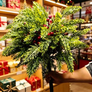 �羳�������ѩ�ɼt�{���Gֲ�M���}�Q�ز廨��ͥԺ���Է���ѩ�ɲ�