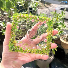 ���ջ��@������diy�ֹ��������ϴ����������z���u���
