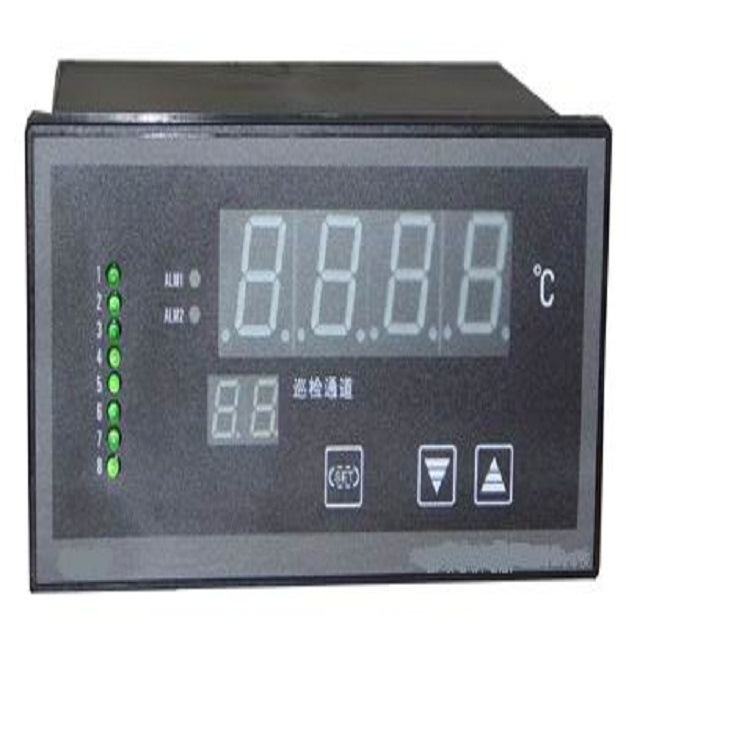 8路温度巡检仪 型号:Y2TH-XMTJ811库号：M123968