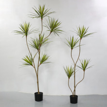 ����Gֲ���l�� ���ڰl؛ ����ǧ��ľ ܛ��U�ɏ��Π� �������