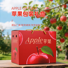 5-10���b�O�����b��мt��ʿ�������O������F؛���]