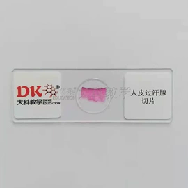 生物教学器材;教学仪器;实验室仪器