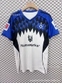 2526 burger home blue