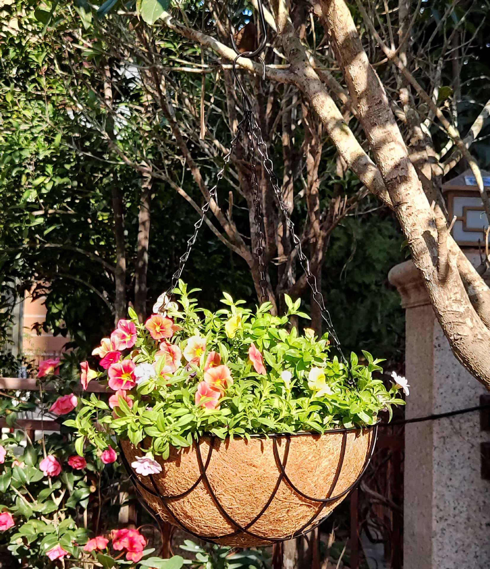 地球篮 (8)_副本