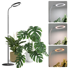 ����ѷ����6��LED�����ƾ�ֲ�����������ʹ�����ȫ���׻��ܵƹ�