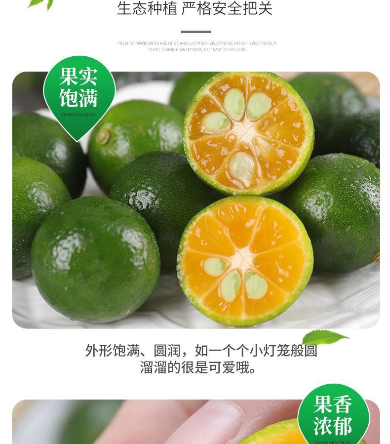 Freeze-Dried Green Kumquat Slices 30g Bottle Qing Ju Gan Citrus Tea Blend with Lemon and Passion Fruit specifications