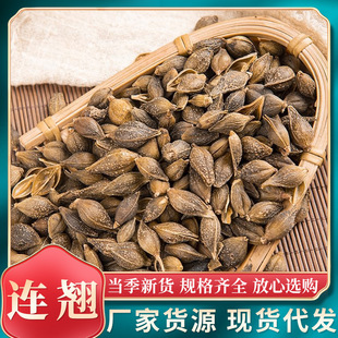 精选连翘中药材新货干精选无硫连壳青翘落翘连壳青翘银翘批发-阿里巴巴
