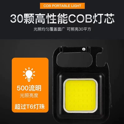 Outdoor USB Mini Keychain Light: UV fənərlər