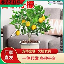 һ�����l��ˮ���ʘ���ˮ��������ÿ�ʳ�Ý�����B�̨�ļ�������