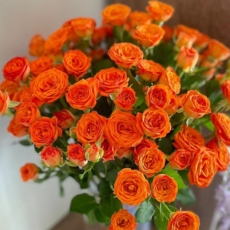 玫瑰花鲜花云南昆明基地批直发百合向日葵红豆家用鲜切水养插|undefined